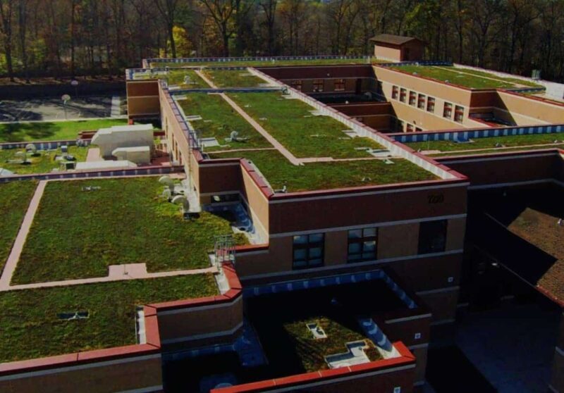 Read more about the article Local Law 92 and 94 | New York Sustainable Roof