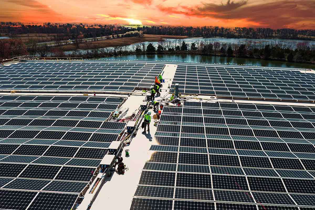 Thomas Foods International